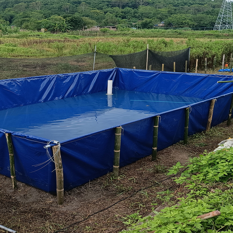 魚(yú)池布案列